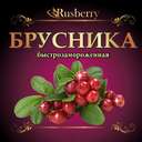 Брусника купить