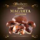 Маслята купить