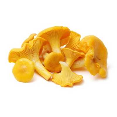 Лисички купить
